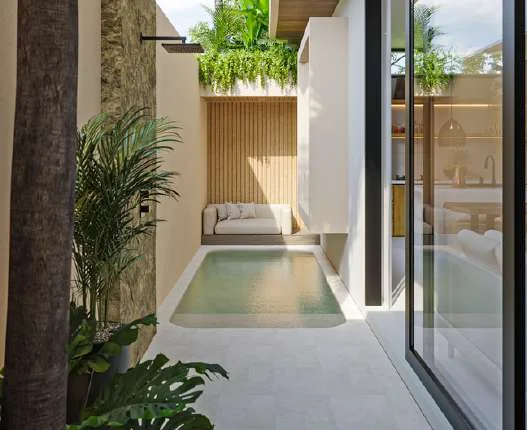 A narrow plunge pool in the side garden, pale jade water, a palm leaning across it.